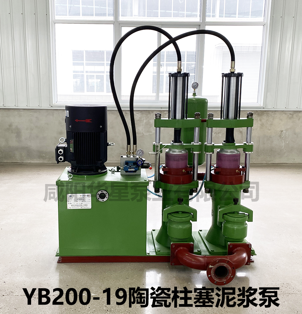 YB200-19壓濾機(jī)入料泵