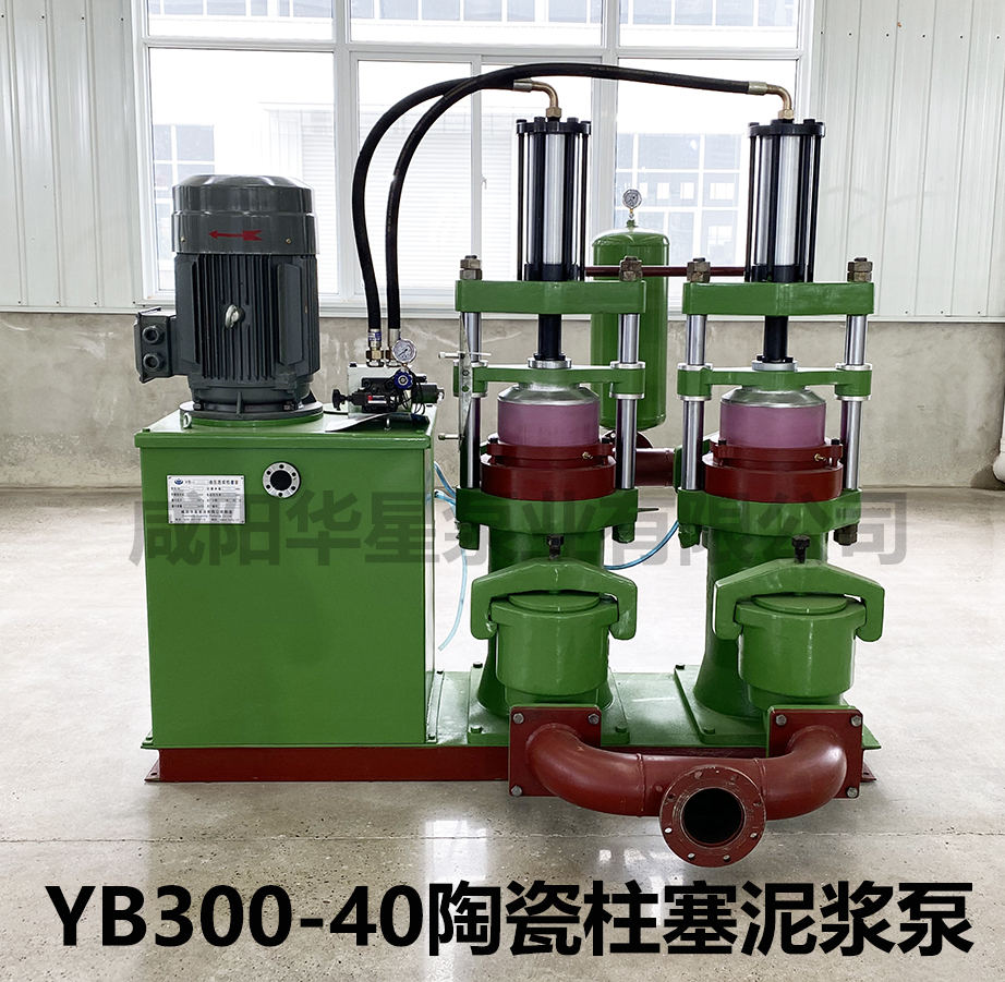 YB300-40壓濾機(jī)入料泵